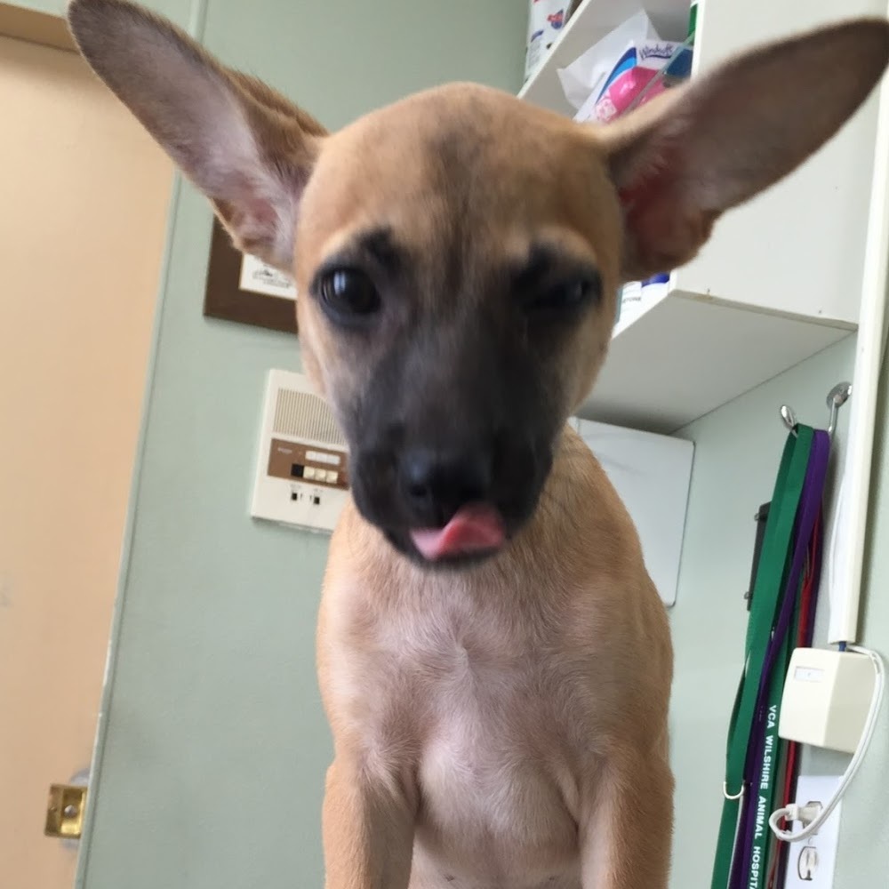 Meet your Posher, Jordan